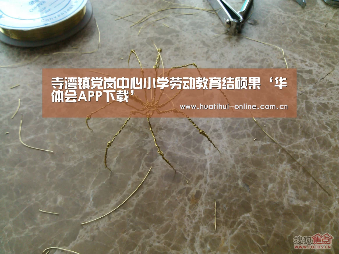 寺湾镇党岗中心小学劳动教育结硕果‘华体会APP下载’(图3) 华体会APP下载
