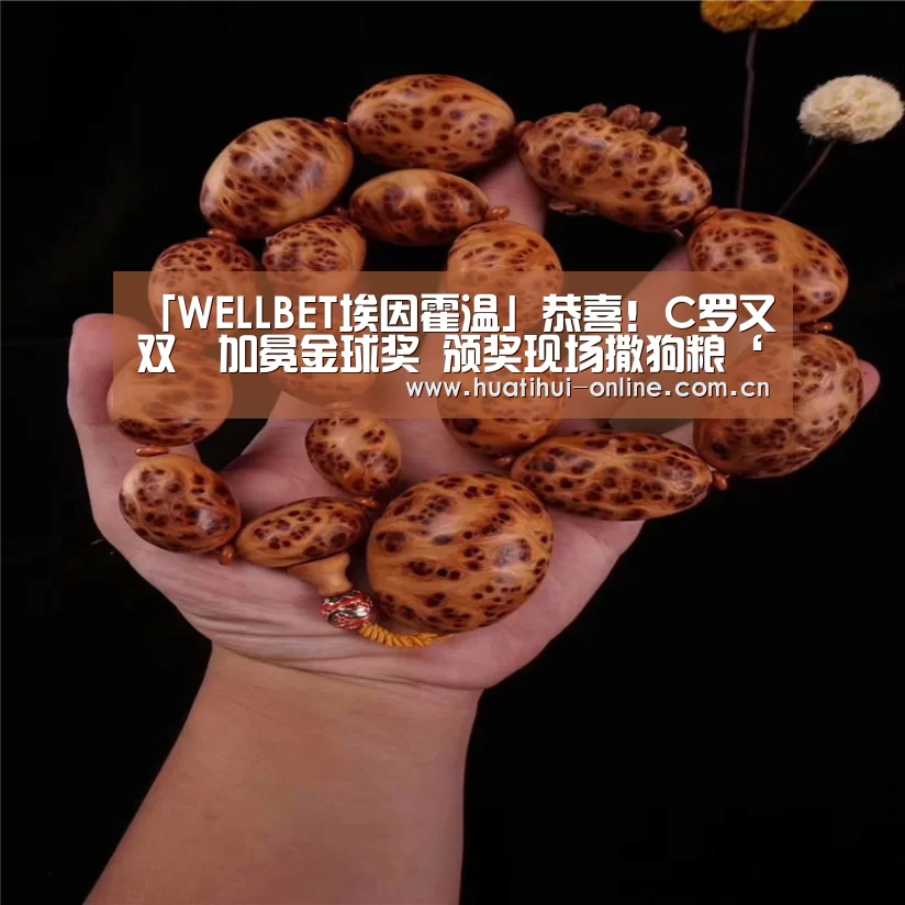 华体会体育官网入口