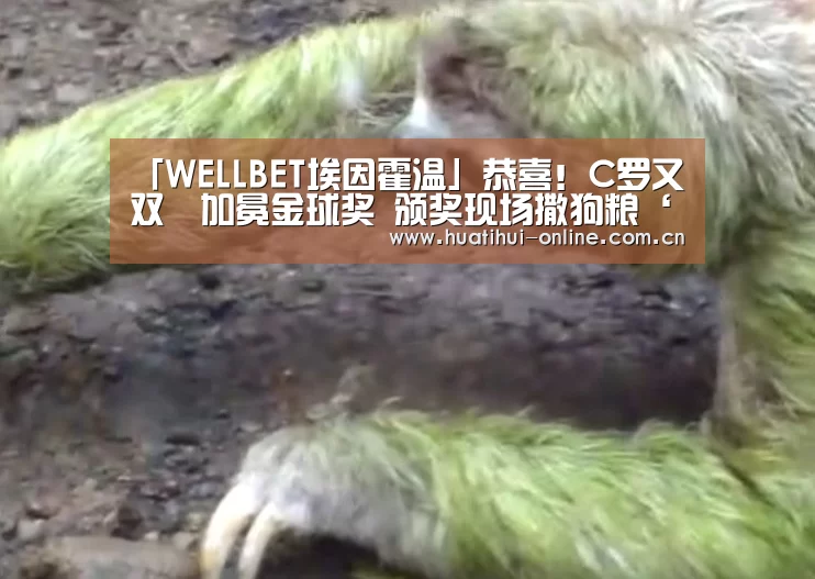 华体会入口