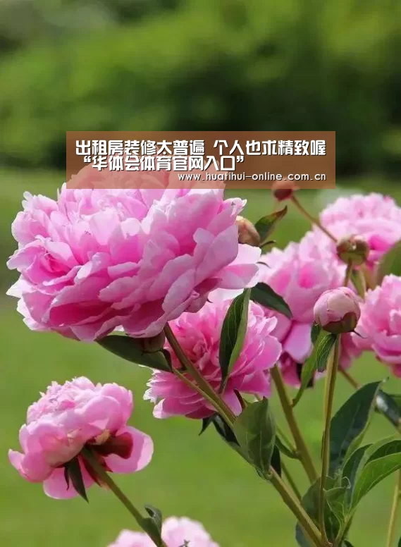 华体会登陆