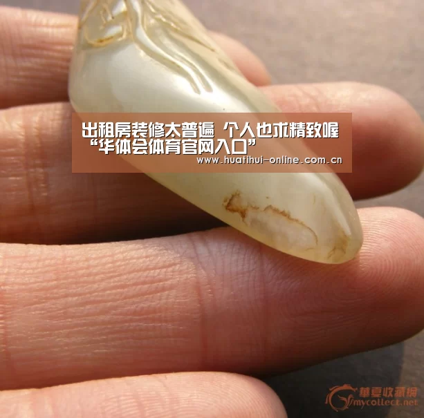 华体会入口
