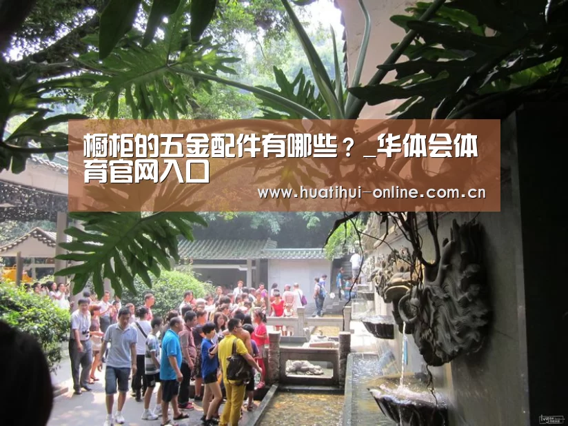 华体会体育官网入口