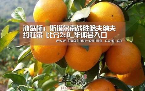 冰岛杯: 斯塔尔南战胜哈夫纳夫约杜尔 比分2:0_华体会入口(图1) 华体会入口