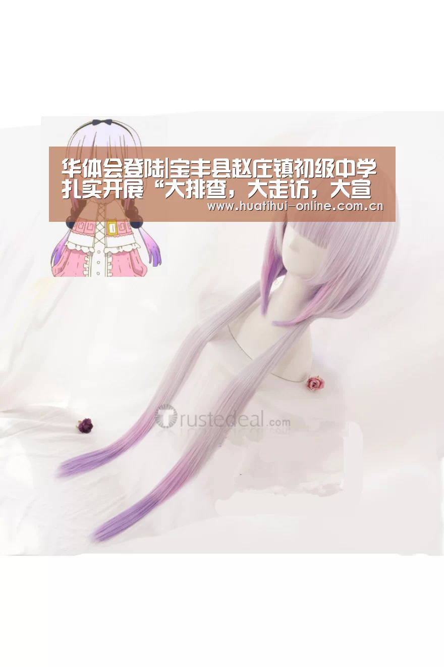 华体会登陆|宝丰县赵庄镇初级中学扎实开展“大排查,大走访,大宣传”活动(图1) 华体会登陆