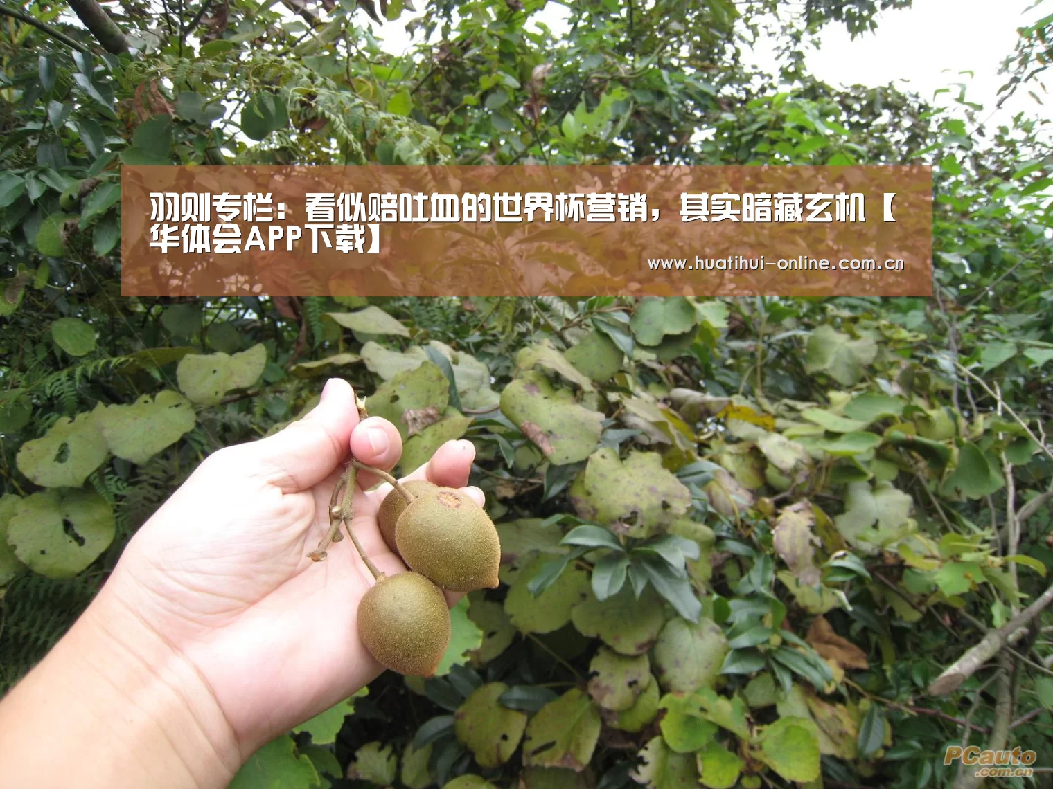 羽则专栏:看似赔吐血的世界杯营销,其实暗藏玄机【华体会APP下载】(图4) 华体会APP下载