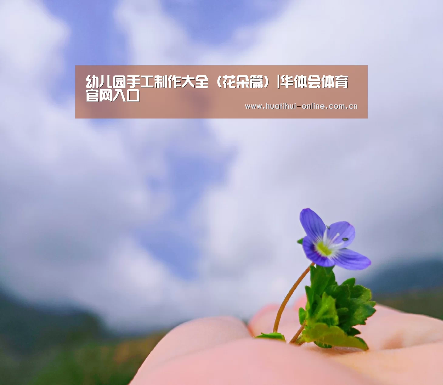 幼儿园手工制作大全(花朵篇)|华体会体育官网入口(图3) 华体会体育官网入口
