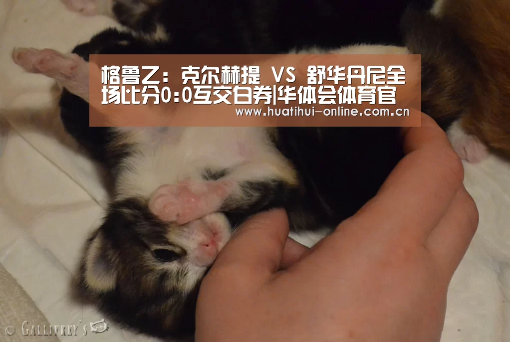 华体会登陆