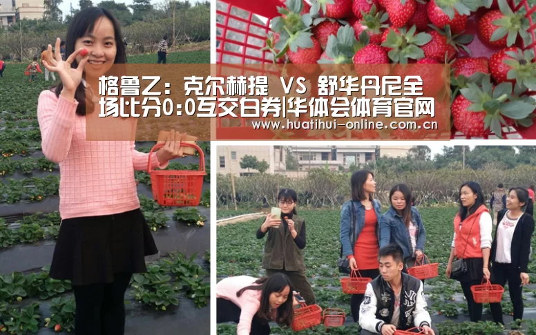 华体会入口
