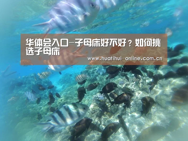 华体会入口-子母床好不好?如何挑选子母床(图1) 华体会体育官网入口