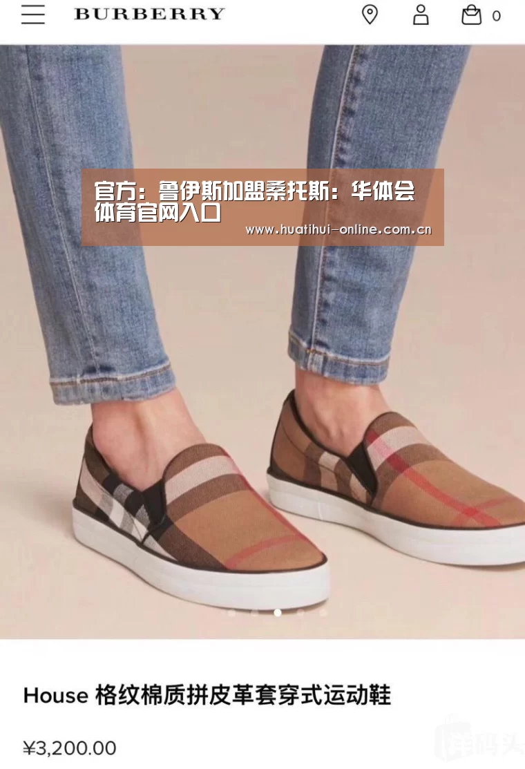 官方:鲁伊斯加盟桑托斯:华体会体育官网入口(图1) 华体会入口