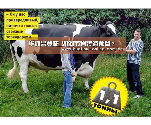 华体会登陆_如何节省装修预算?(图2) 华体会APP下载