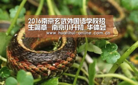 华体会体育官网入口