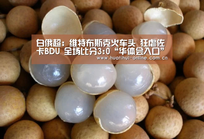 华体会体育官网入口